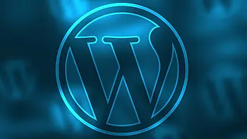 Wordpress Wordpress